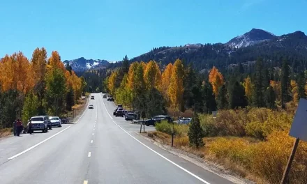 CALTRANS TO BEGIN REPLACEMENT OF MARKLEEVILLE CREEK BRIDGE