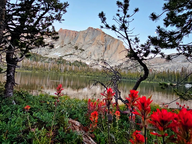 Nelson Lake yosemite