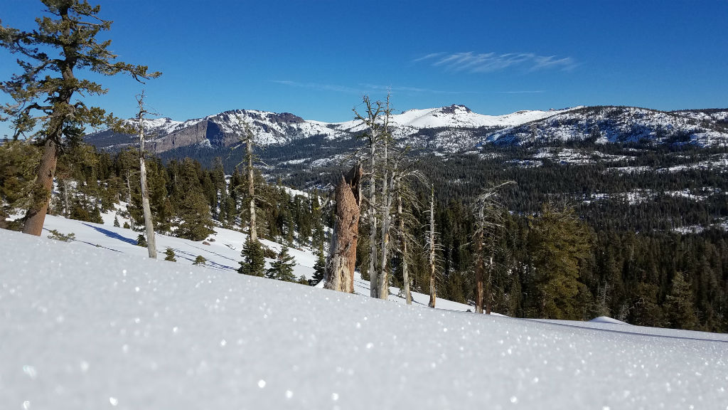 snow covered trees and mountains in the distance