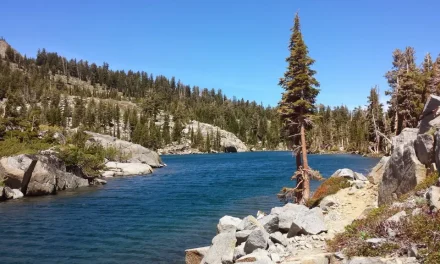 Applications for PCT Long-distance Permits open soon