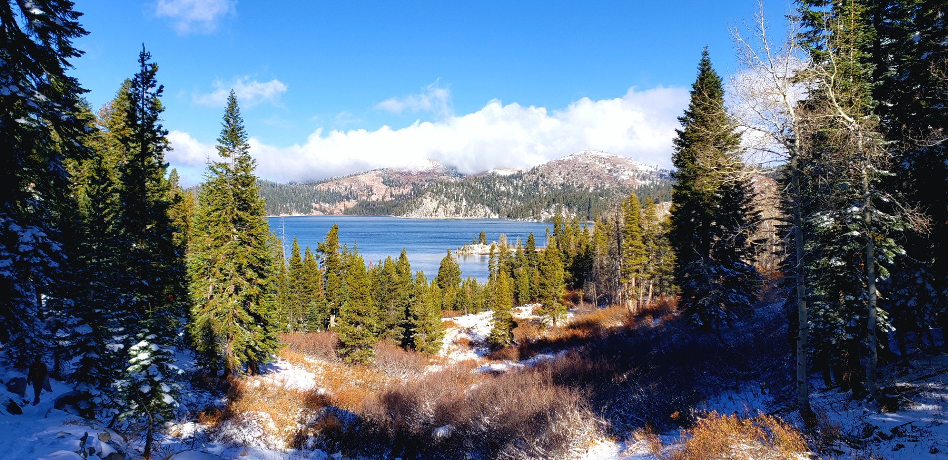 a lake surrounded by trees and snow