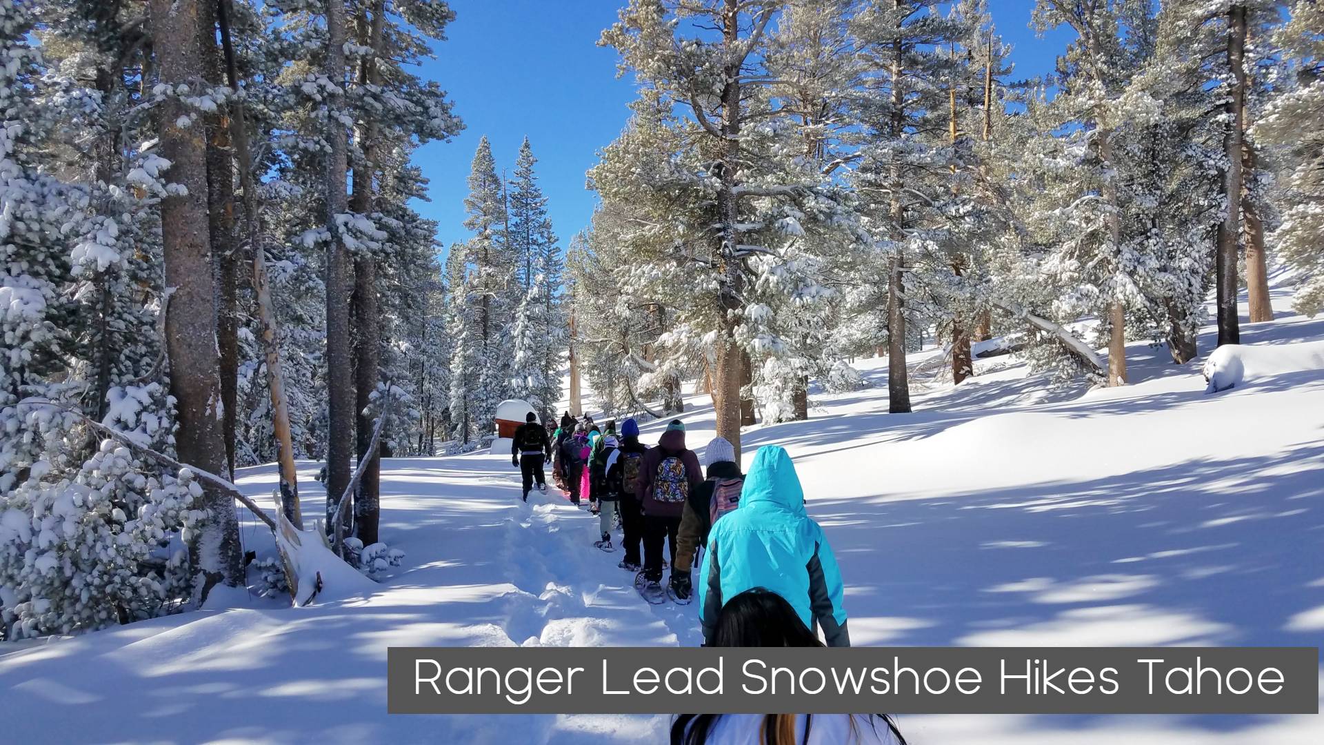 Guided Snowshoe Hikes with a Ranger Begins January 25 on the Carson Ranger District