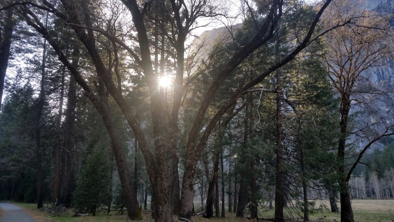 Travel Alert – Yosemite West Entrance Closed Due to Fire