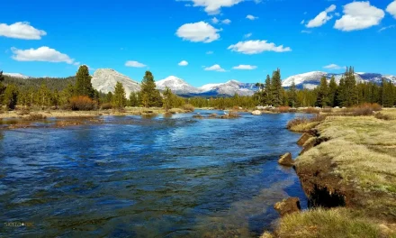 Yosemite National Park Announces Public Meeting to Provide Updates on the Big Oak Flat Welcome Center and the Tuolumne Meadows Parking Relocation Projects