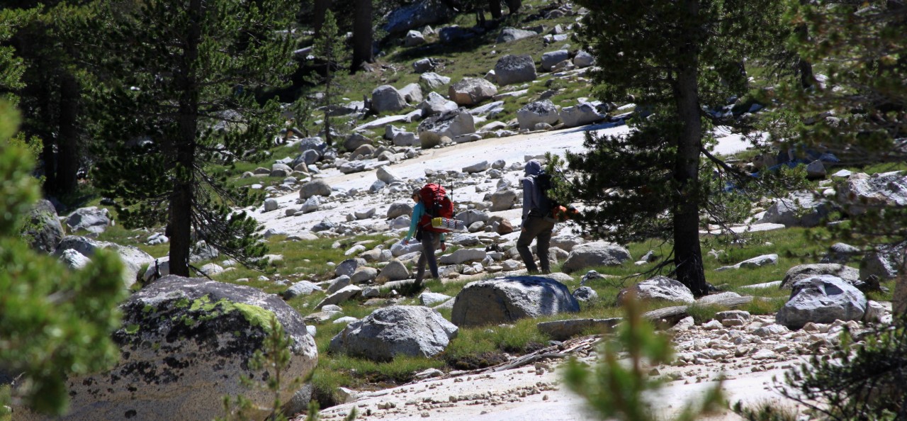 Hiking Lyell Canyon And The JMT Out Of Tuolumne Meadows