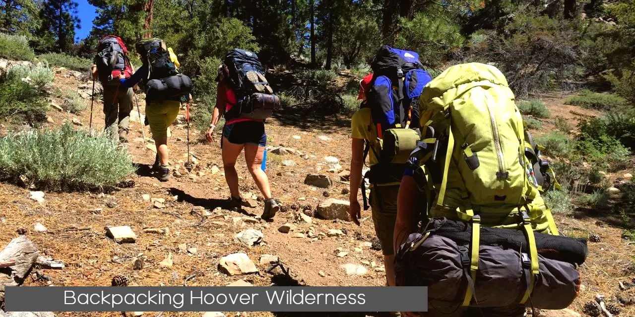 Backpackers Hiking hoover Wilderness