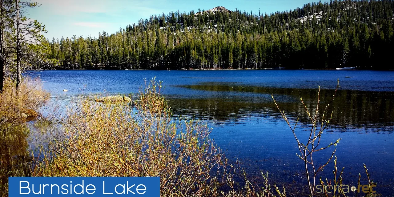 Alpine County Scavenger Hunt Launches With Support From Small Businesses