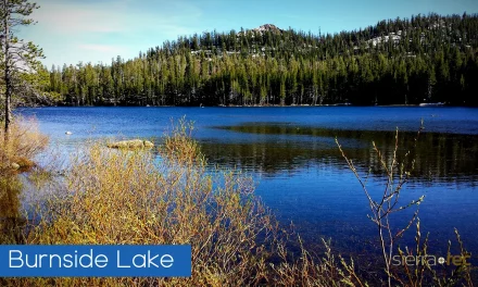 Alpine County Scavenger Hunt Launches With Support From Small Businesses