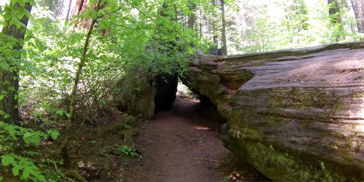 Celebrate the First Annual California State Parks Week June 14-18, 2022