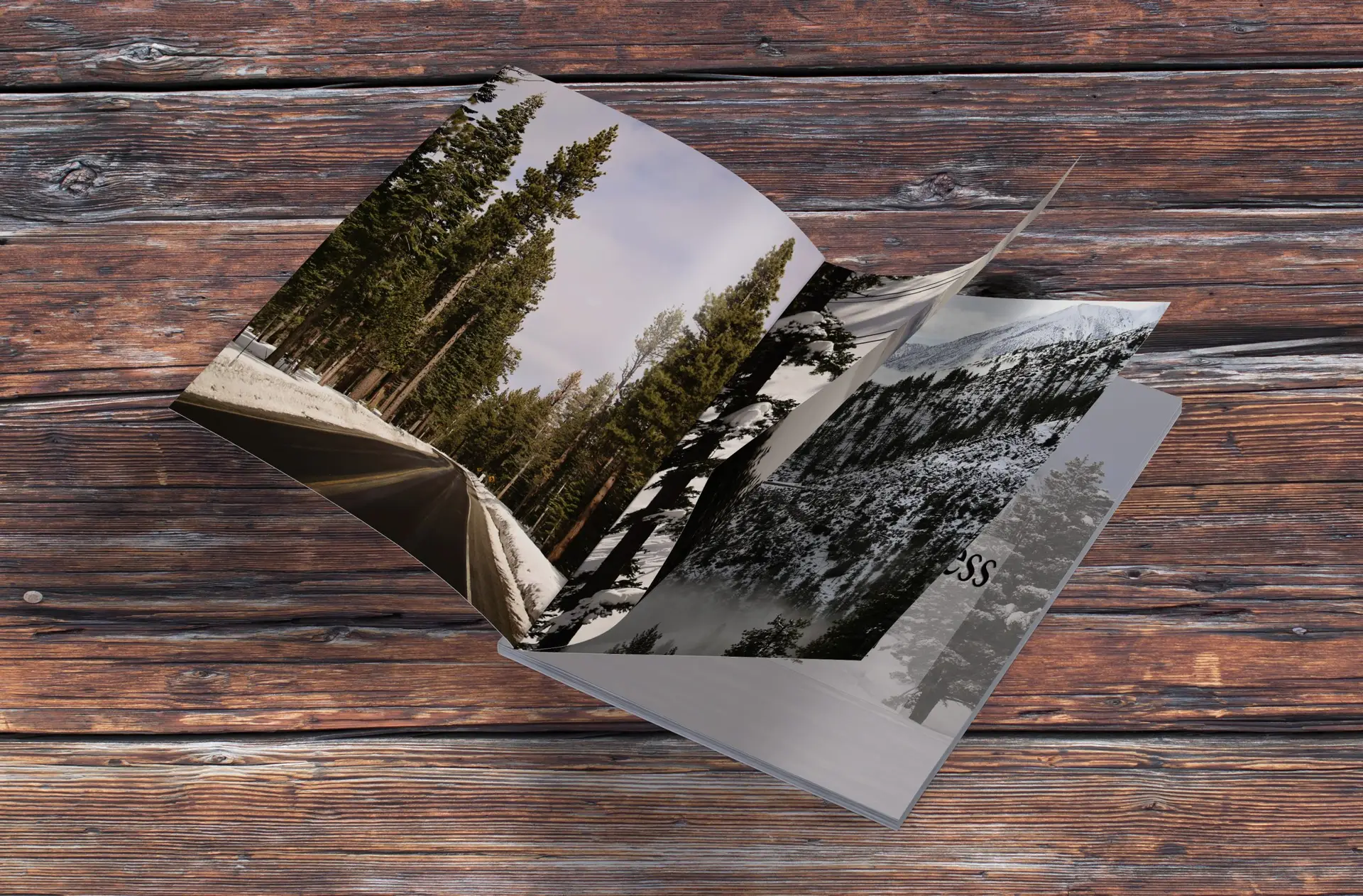 Sierra REC Magazine Template
