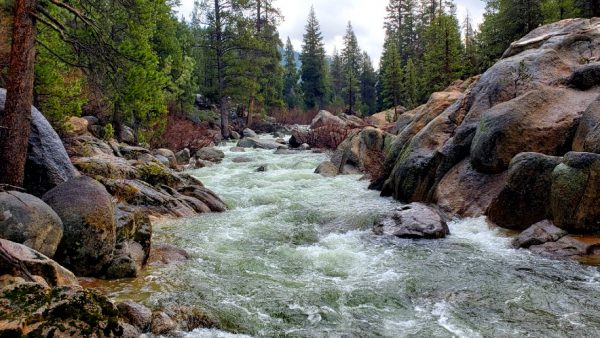 Mokelumne river hwy 4