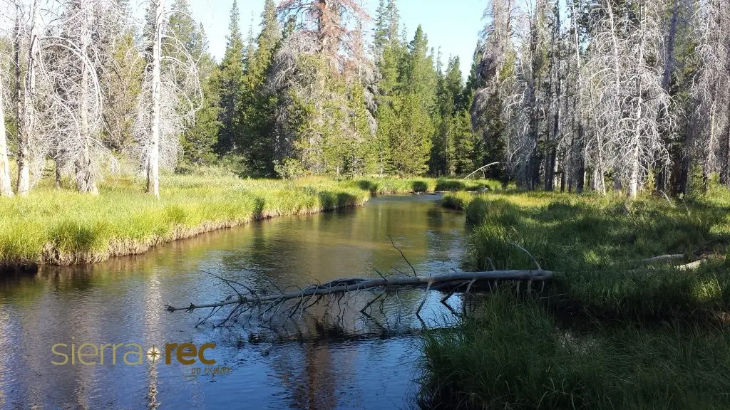 Eldorado National Forest - Caples Creek