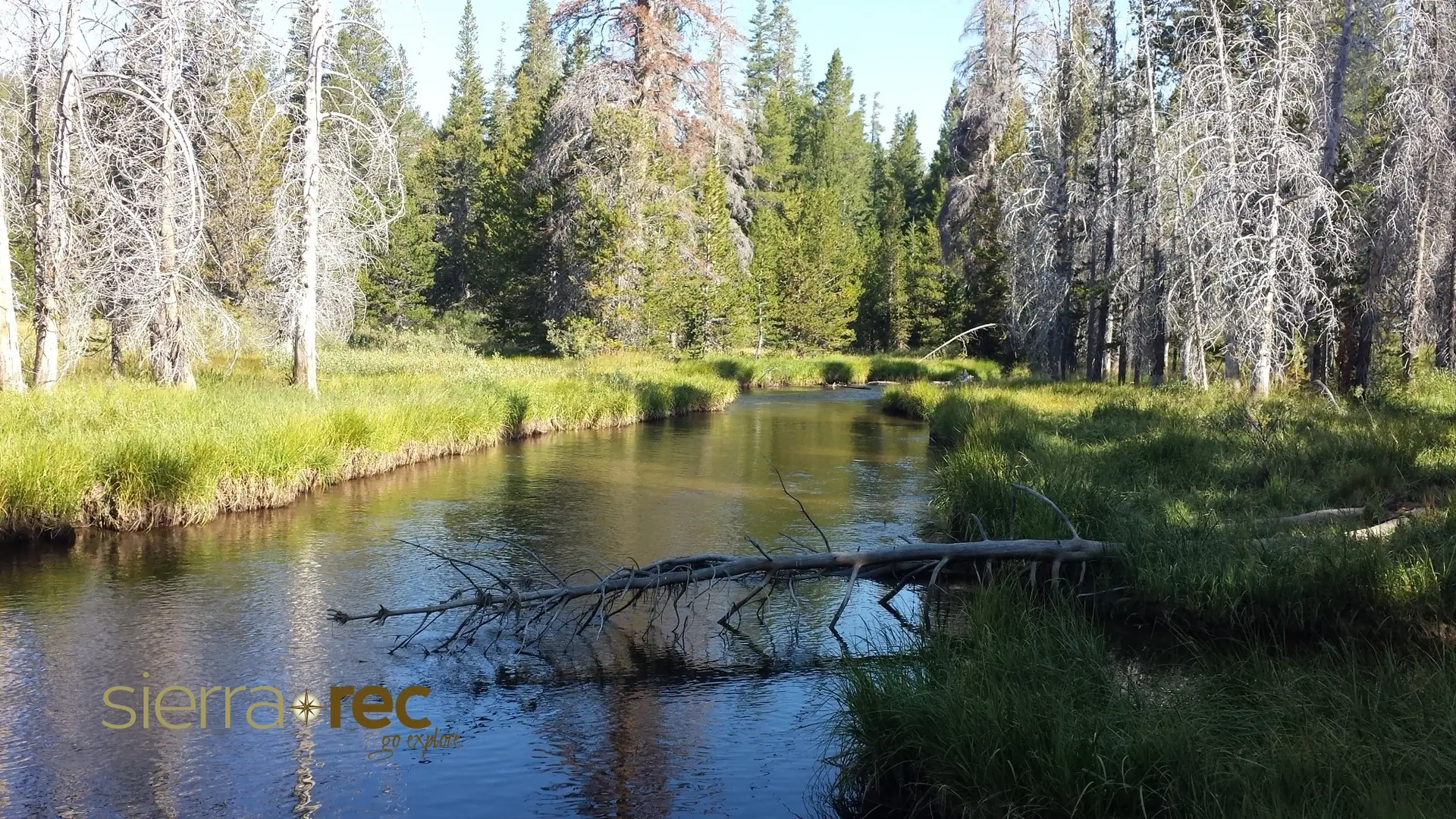 Updated: Caldor Fire Trail and Campsite Closures 2022 Eldorado National Forest