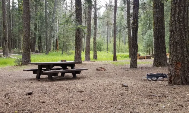 Plumas National Forest Campground Hosts Sought