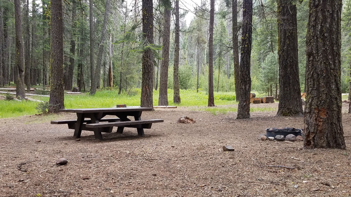Plumas National Forest Campground Hosts Sought