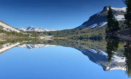 Yosemite National Park Closes Highway 120 Tioga Pass for Winter