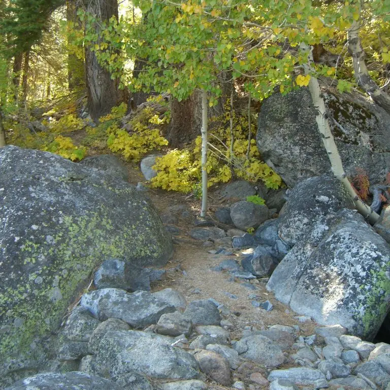 Burnside-Lake-via-Charity-Valley-East-