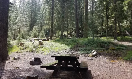Plumas National Forest Expands Recreation Opportunities and Fees