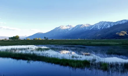 “Travel Safely, Adventure Greatly” Is The Message Carson Valley and South Lake Tahoe Convey For Visitors