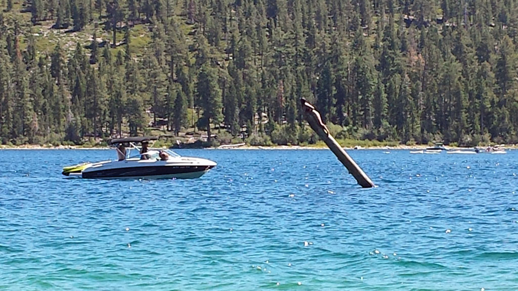 a boat is floating in the water near a tree