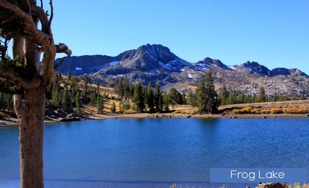 a lake with a tree in the foreground and a mountain in the background