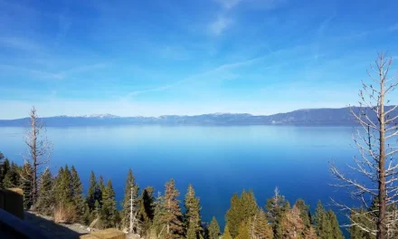 South Lake Tahoe Unites  With Western Mountain Towns to Launch Pledge for the Wild