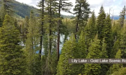 TAHOE NATIONAL FOREST UPDATE: Memorial Weekend, May 22-24