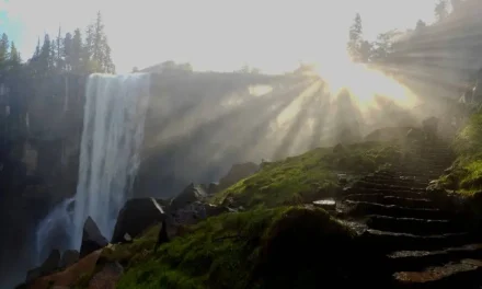 Yosemite National Park will remain closed at least until Monday Feb 1.