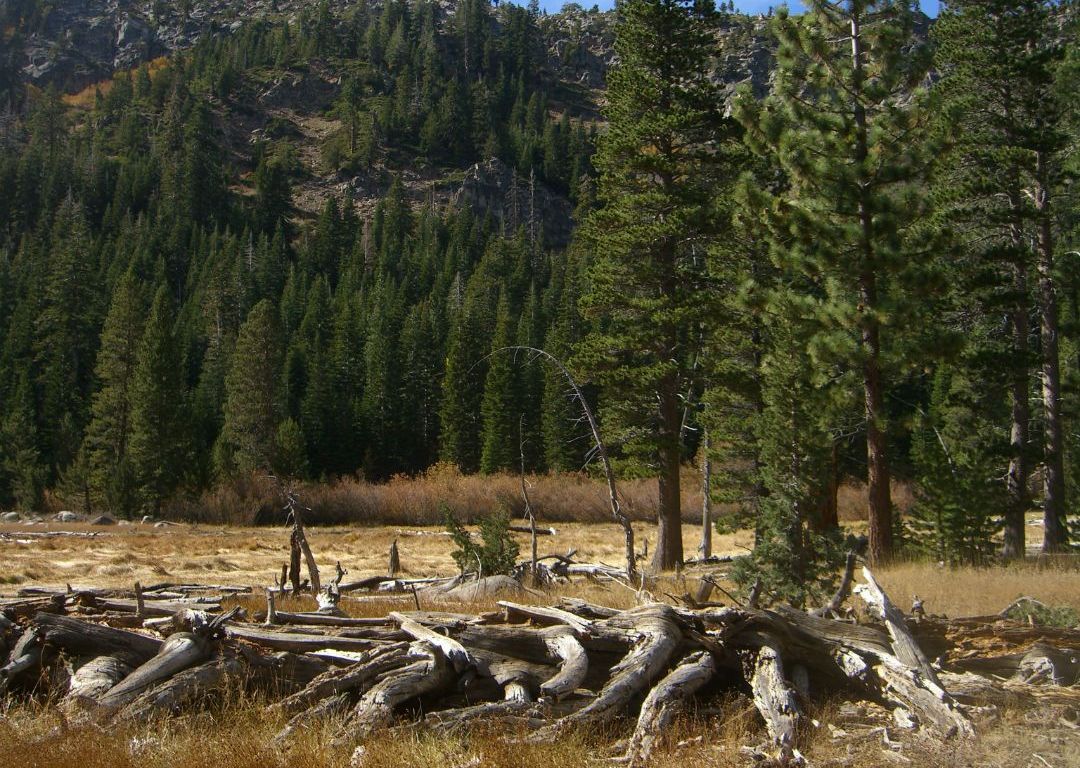 NOBEL LAKE HIKE VIA NOBEL CANYON