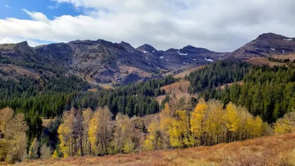 Sonora Pass