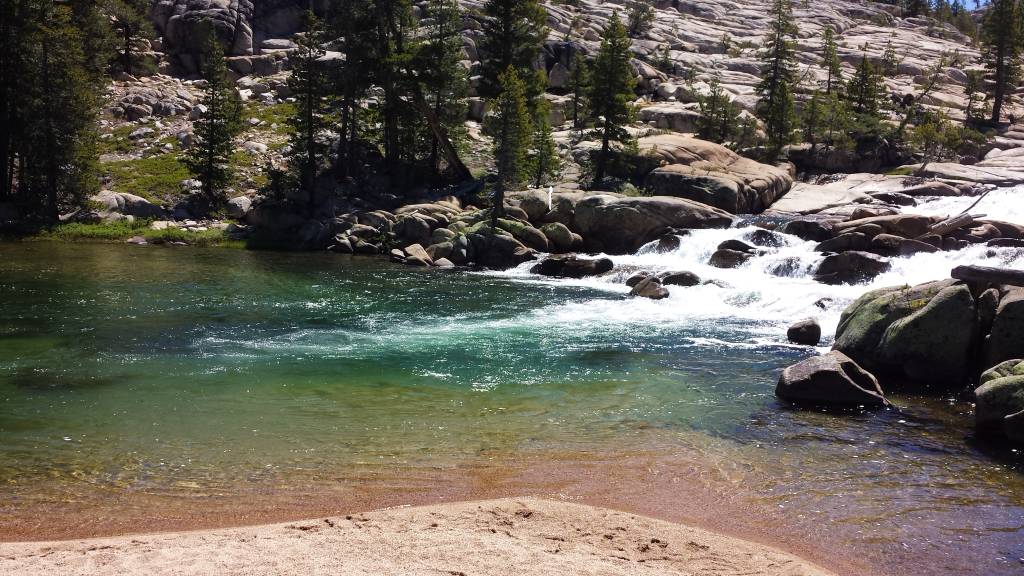 a river flowing through a forest