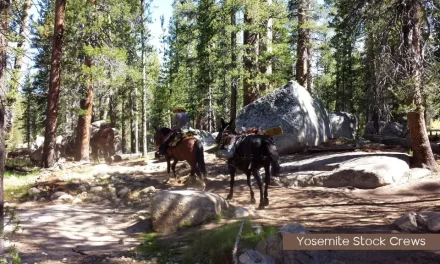 Trump Administration Advances Efforts to Improve the Visitor Experience at National Parks