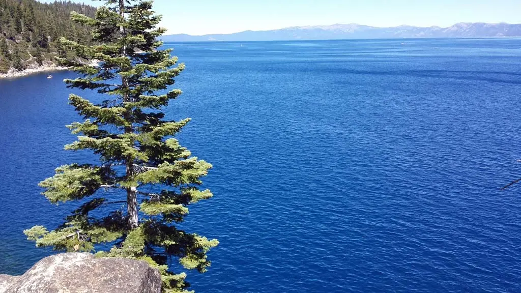 Clean Up The Lake Partners With the City Of South Lake Tahoe