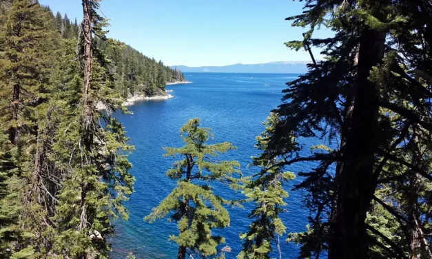 Plan Ahead on National Forests this Labor Day Weekend