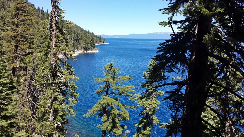 Plan Ahead on National Forests this Labor Day Weekend