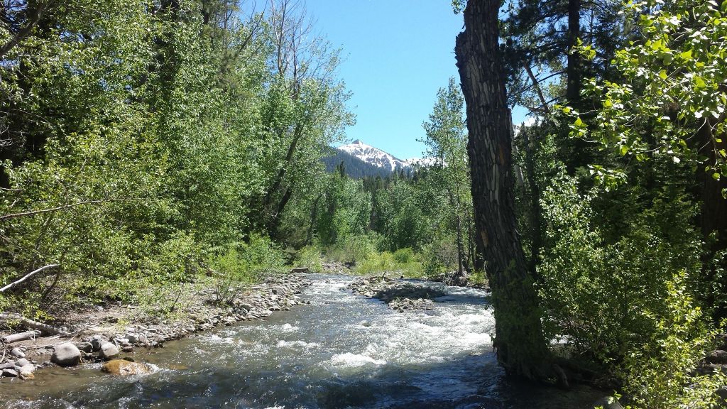 WOLF CREEK TRAIL | CARSON ICEBERG WILDERNESS