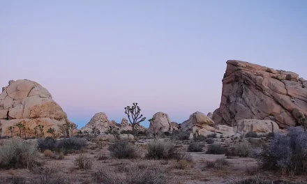 California National Parks Prepare for Hilary