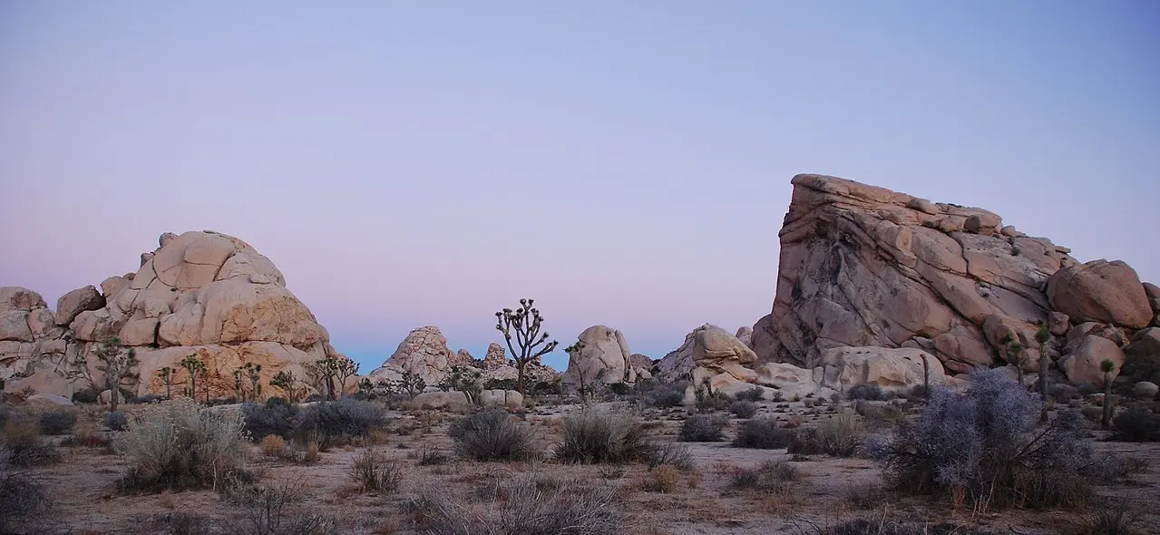 Joshua Tree National Park is Beginning to Increase Recreational Access to Park Roads