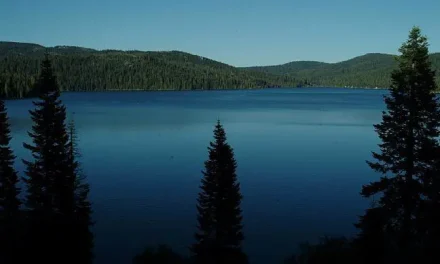 The Road To Bucks Lake Is Now Open 2020