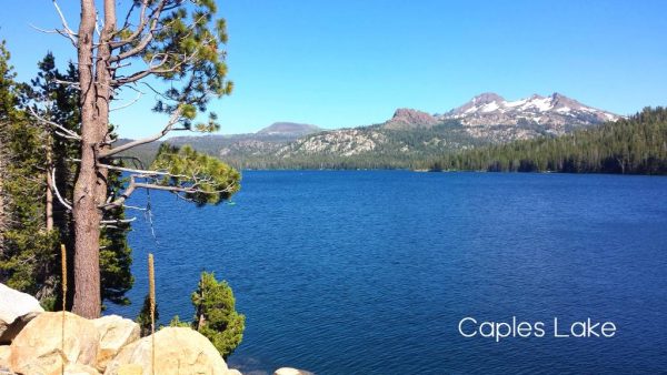 the lake is surrounded by mountains and trees