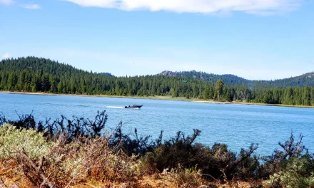 Memorial Day Conditions For Plumas National Forest