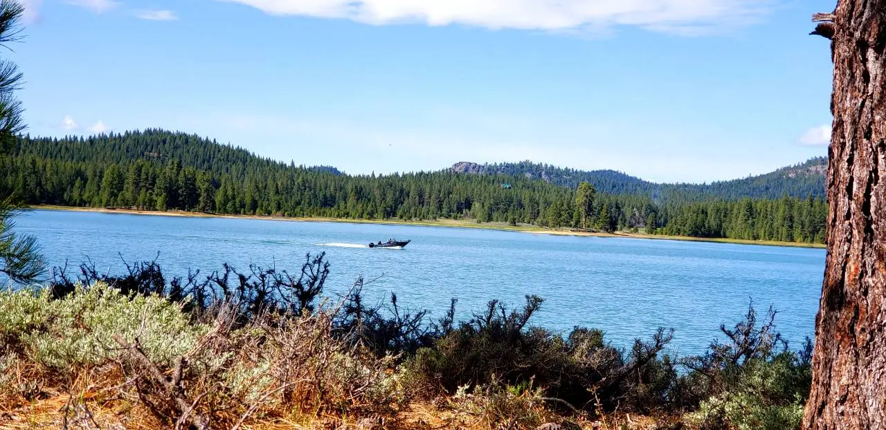 Memorial Day Conditions For Plumas National Forest
