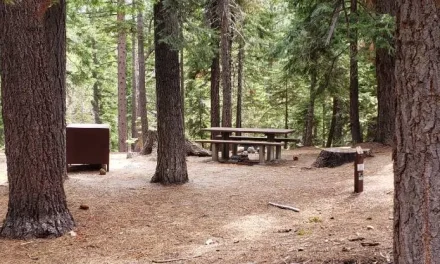 Humboldt-Toiyabe National Forest Campgrounds to Open in Nevada on Saturday, May 30