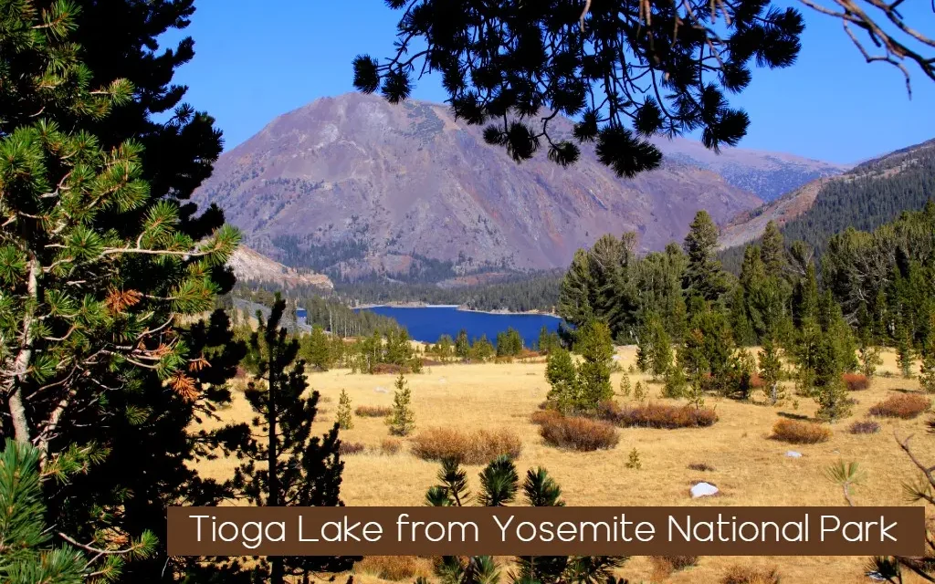 Tioga Road (Hwy 120 through the park) and Glacier Point Road will temporarily close on October 7
