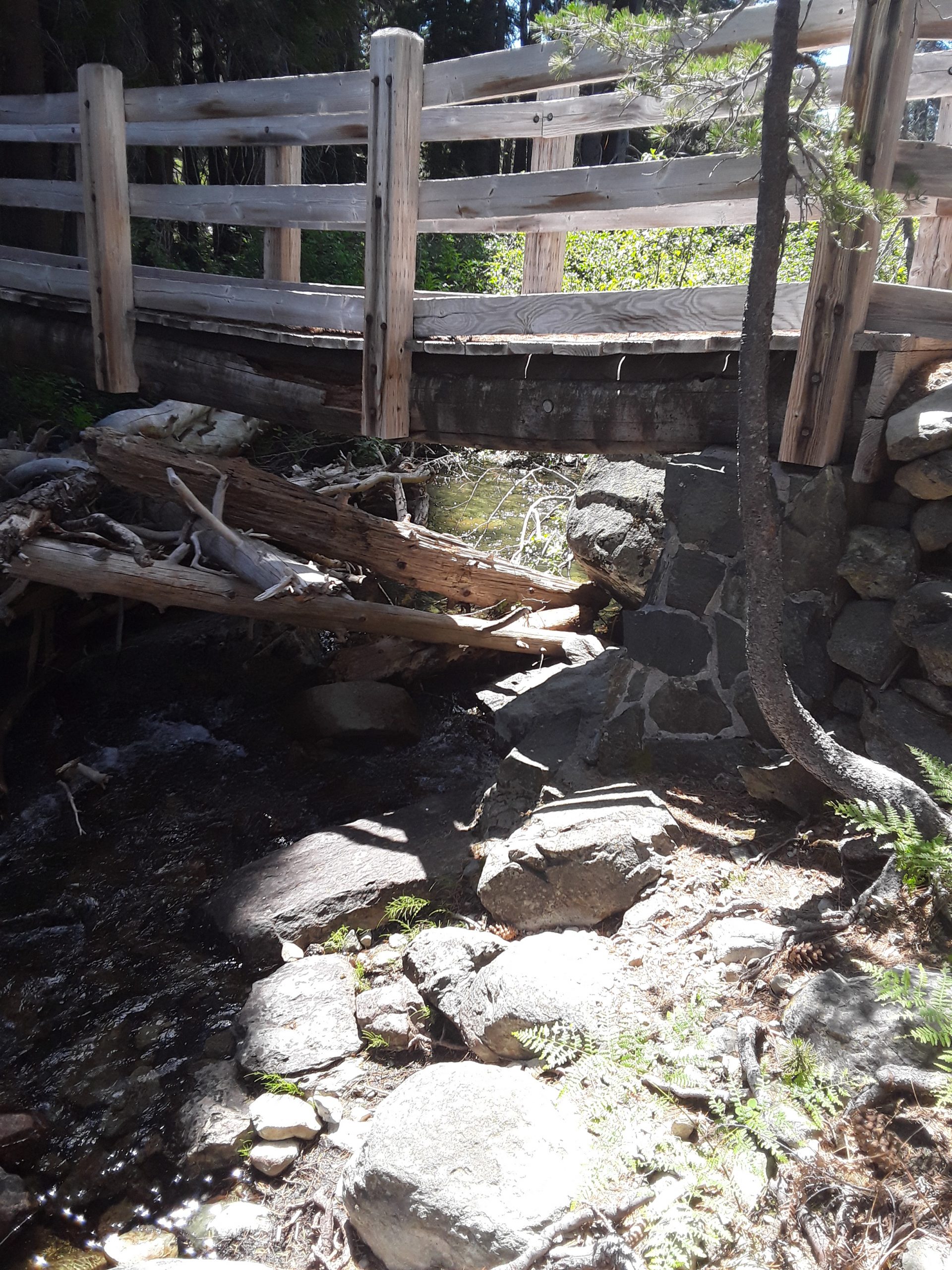 Fern Falls Trail Bridge – Temp. Closure
