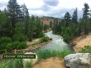 the hoover wilderness is a great place to hike