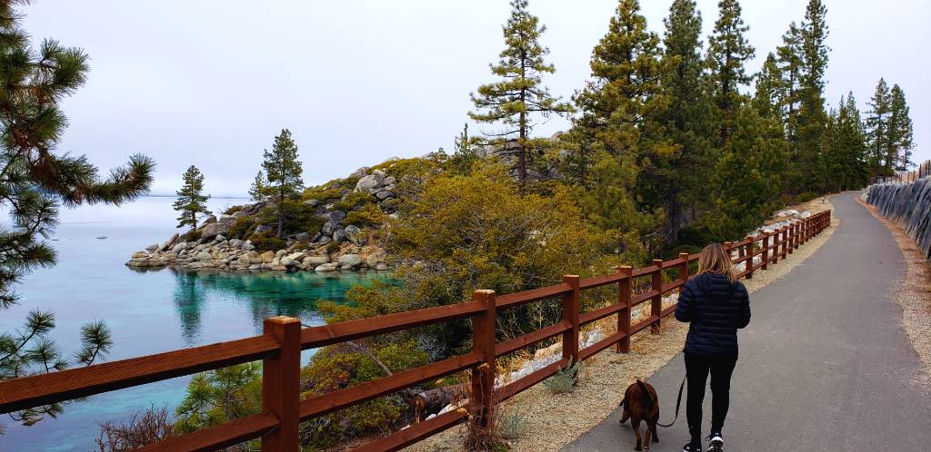 a woman walking her dog along a path near the water