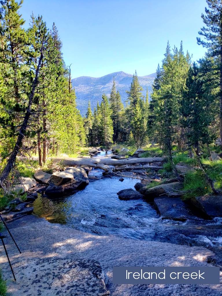 Ireland Creek Yosemite National Park