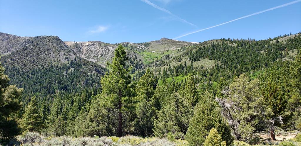a view of the mountains from the trail