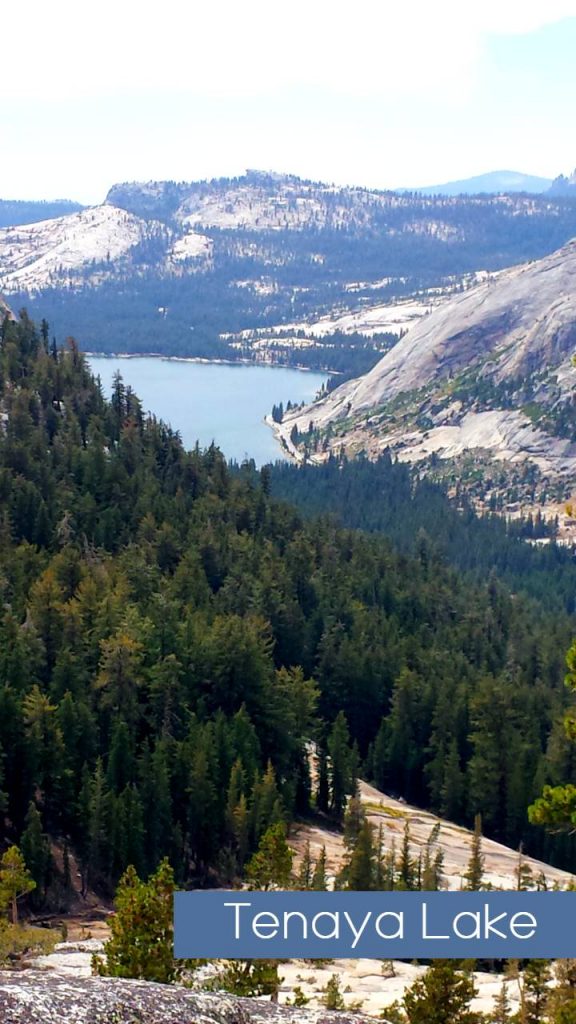 Tenaya-Lake-from-Cathedral2014